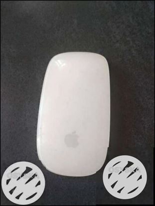 Apple mouse